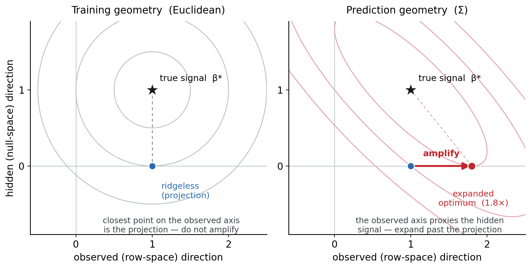 Two side-by-side contour plots. Left, Training geometry (Euclidean): concentric circular contours; the true signal beta-star sits at (1,1), the ridgeless estimate is its projection at (1,0) on the observed axis, and the note says the projection is optimal, do not amplify. Right, Prediction geometry (Sigma): tilted elliptical contours; a red amplify arrow pushes the estimate from (1,0) to an expanded optimum at (1.8,0), past the projection, because the observed axis now proxies the hidden signal.